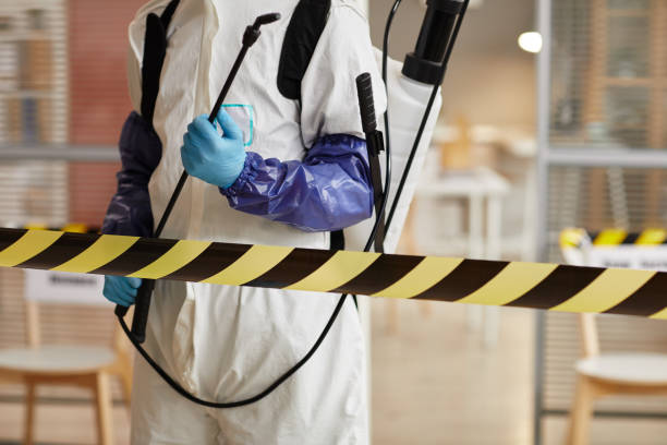 Professional Sewage Cleanup technician working in Somerset, NJ
